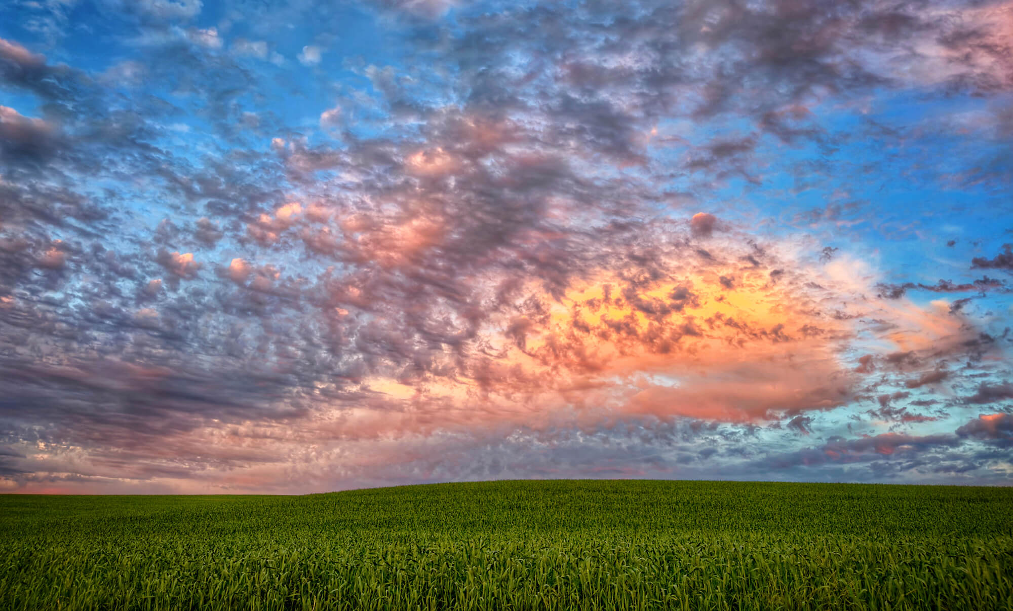 The skies in the Palouse are magical