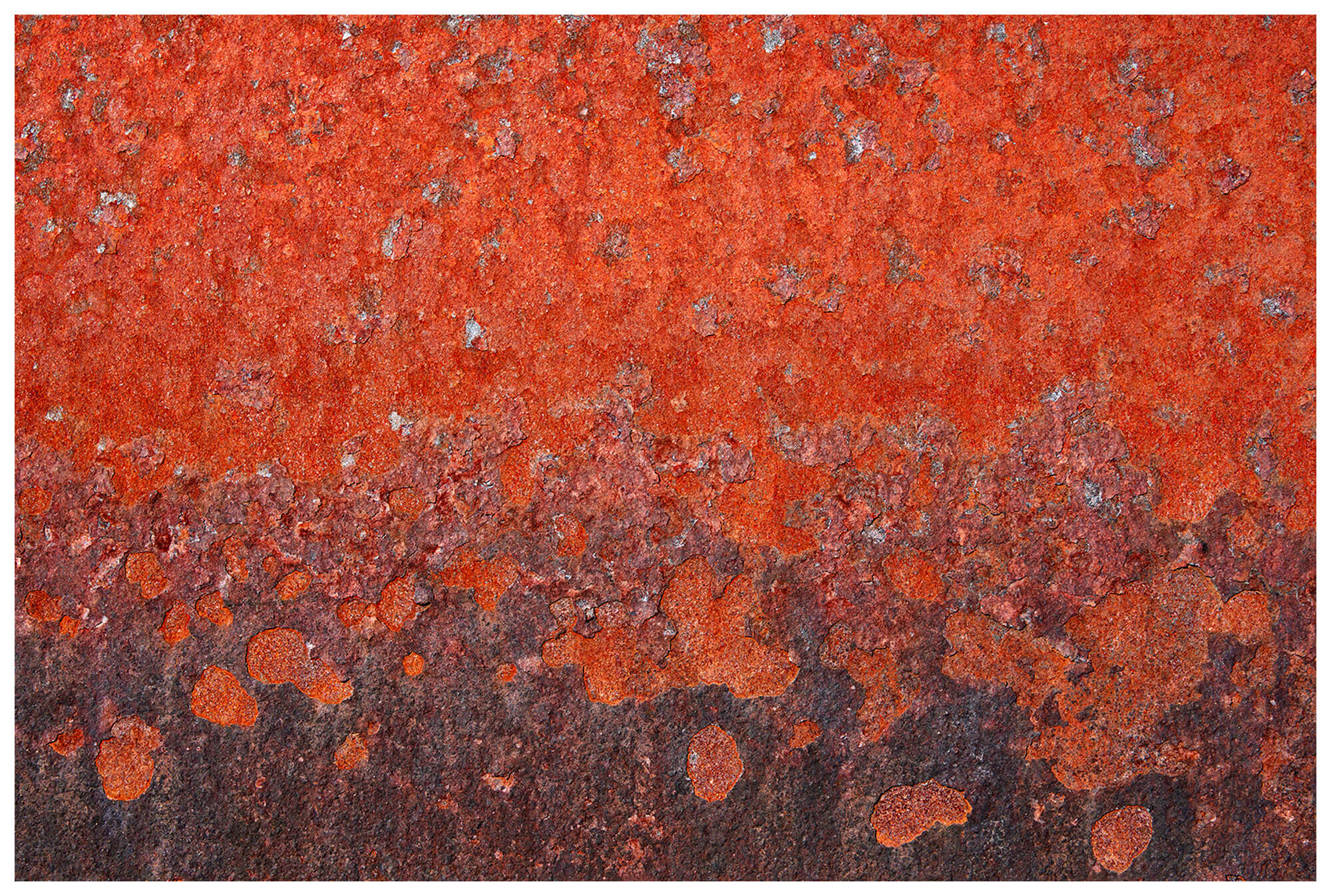 Rust abstracts from the whaling station